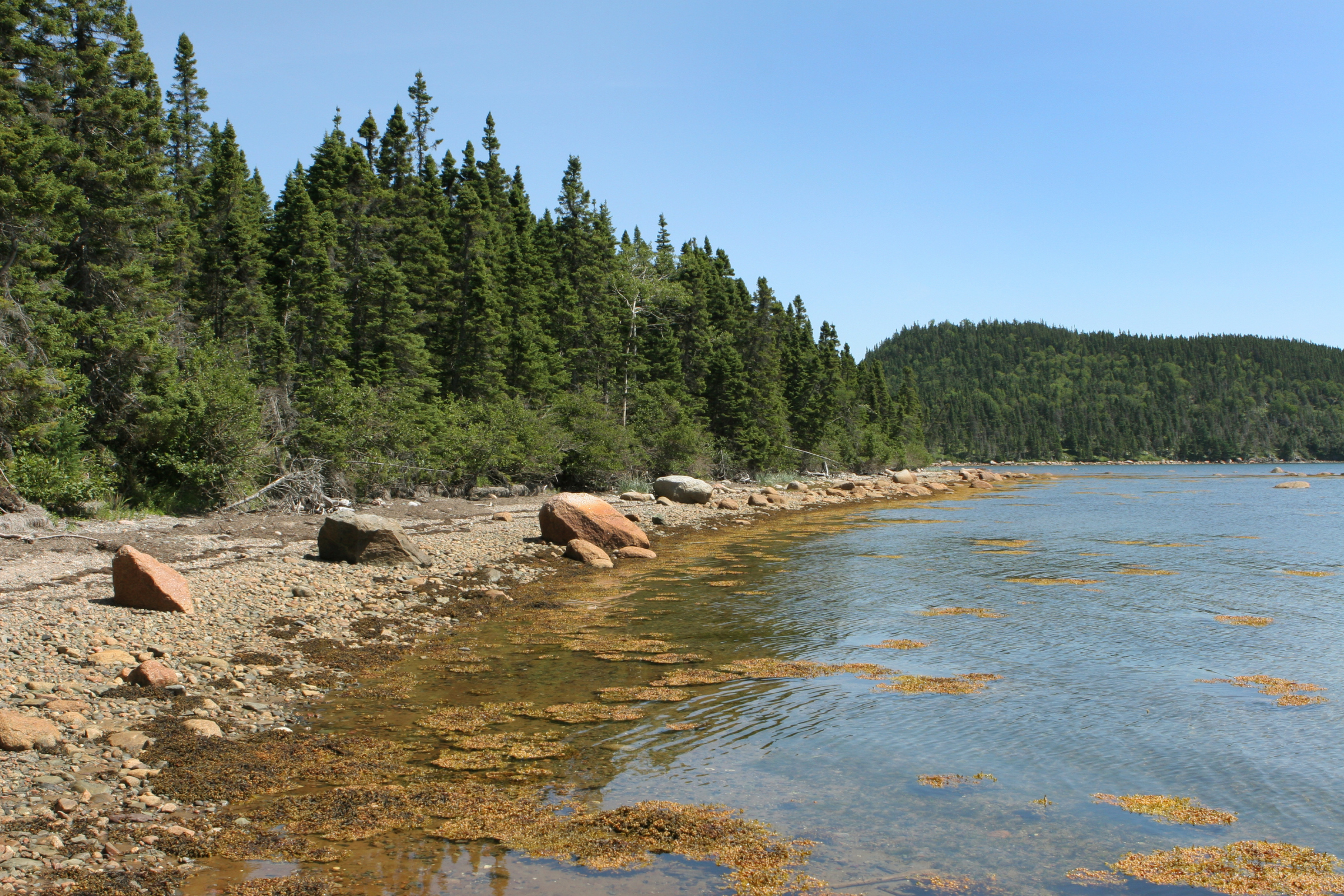 terra nova national park, newfoundland (3).webp